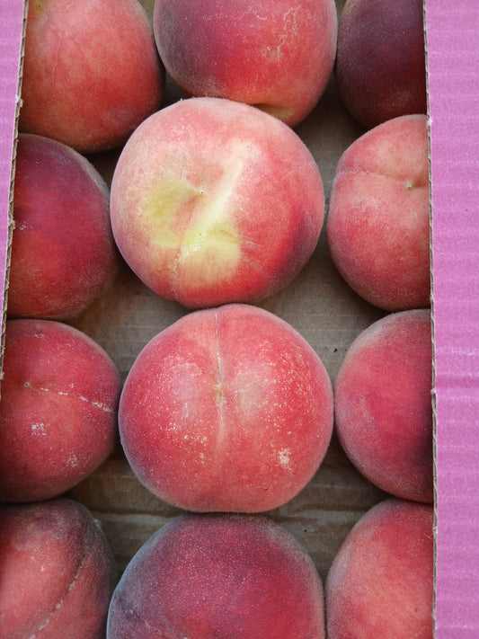 White peach.دراق بكفيا