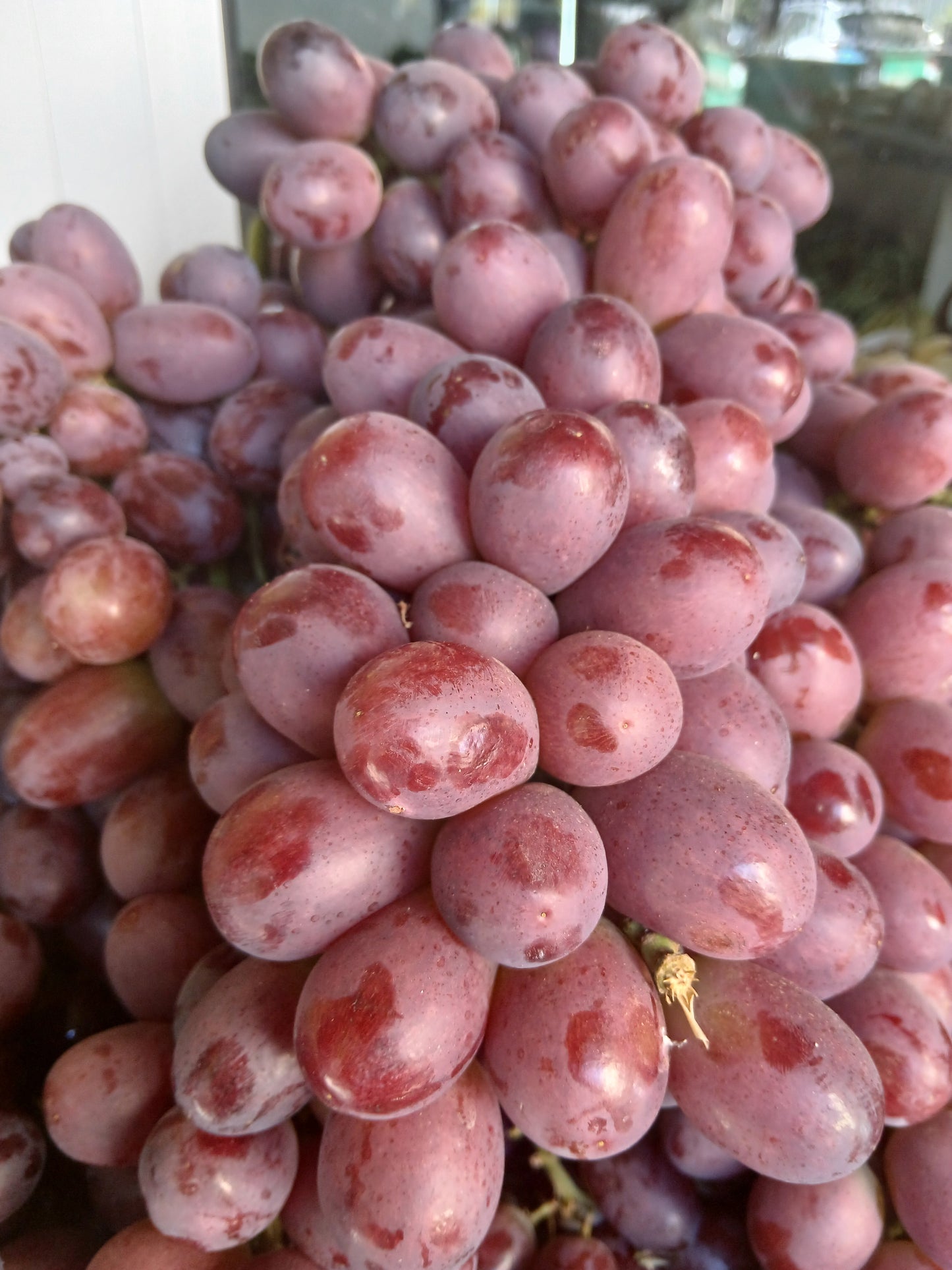 Scarlet seedless grapes
