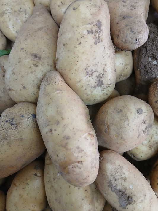 Potatoes بطاطس