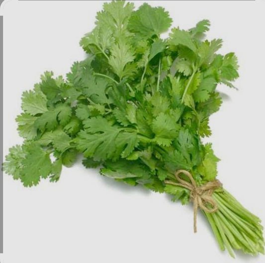Coriander كزبره