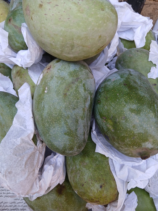 Mangoes منغا تيمور