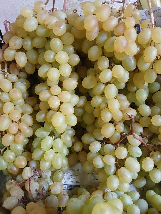 Grapes maghdoucheh عنب مغدوشة