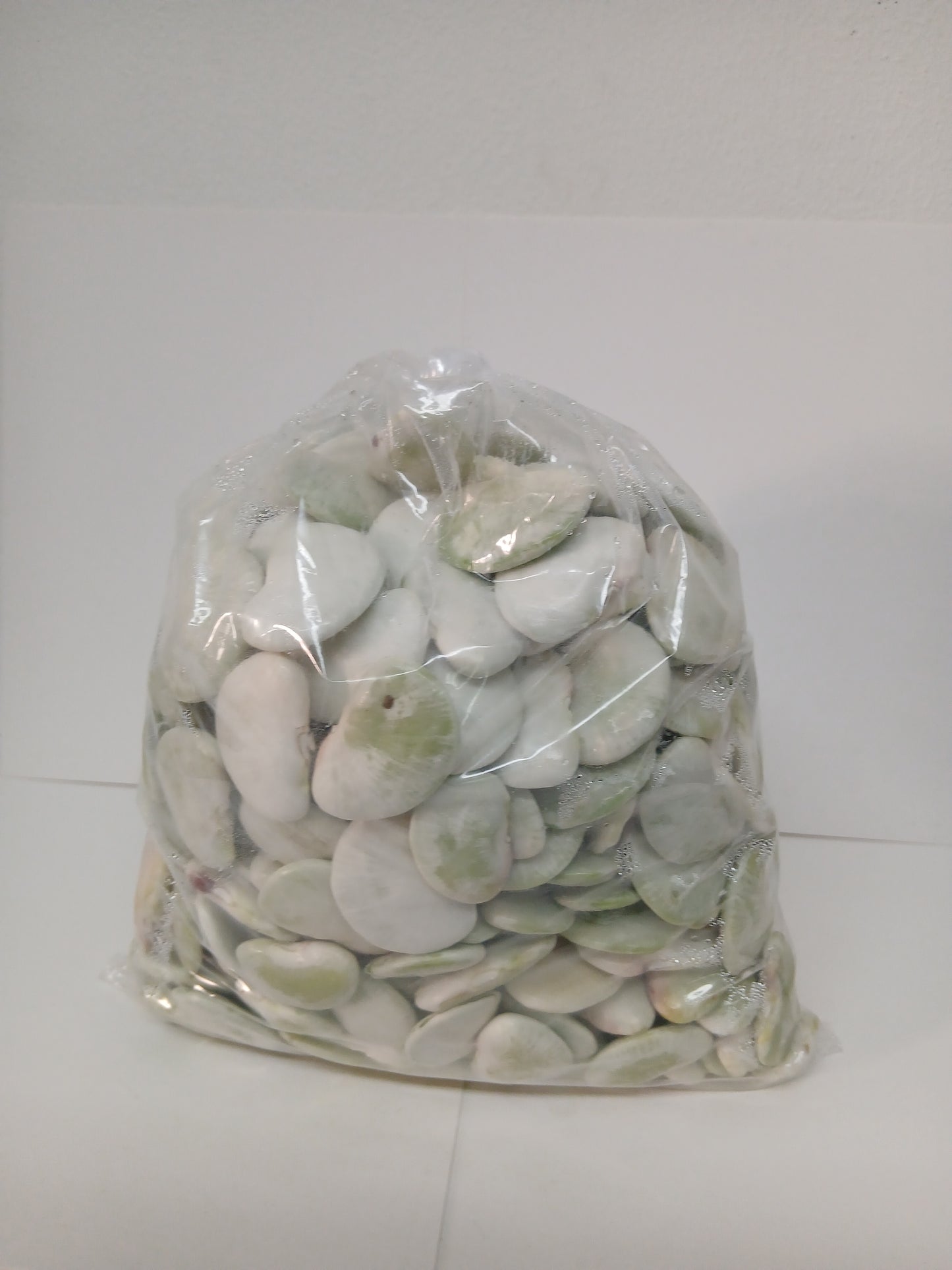 Broad beans فاصوليا عريضه