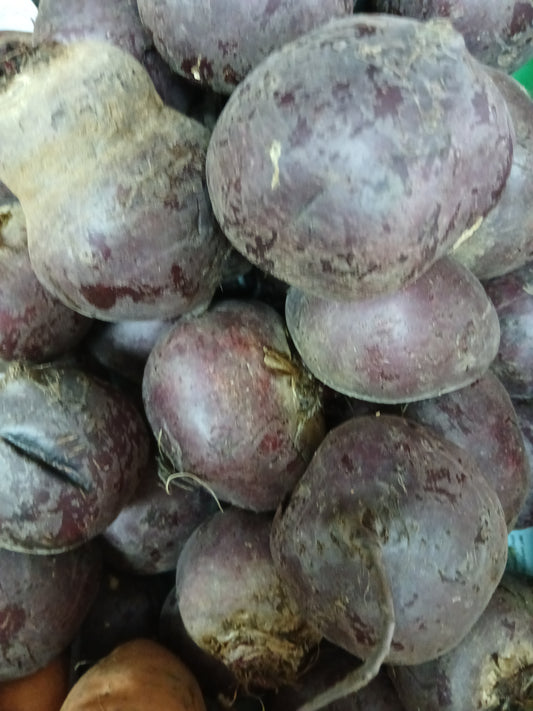 Beet root شمندر