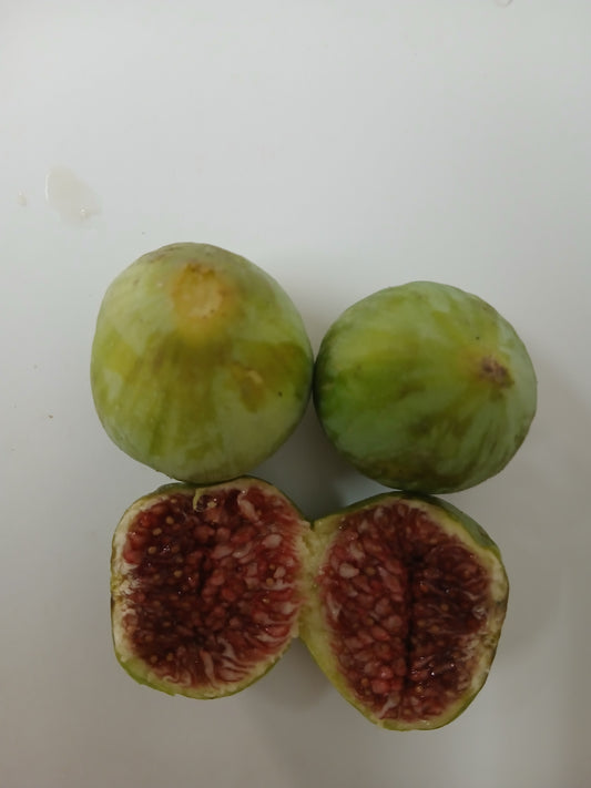 Red figs تين احمر