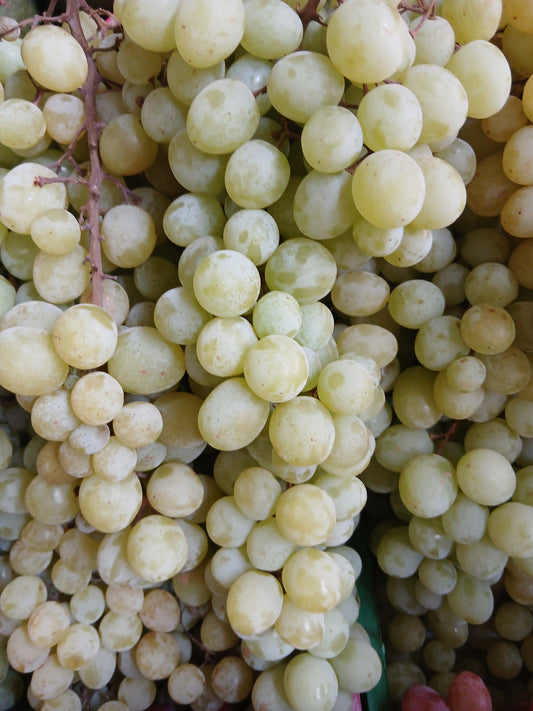 White grapes seedless عنب ابيض بلا بزر