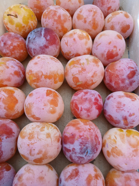 White plums خوخ ابيض
