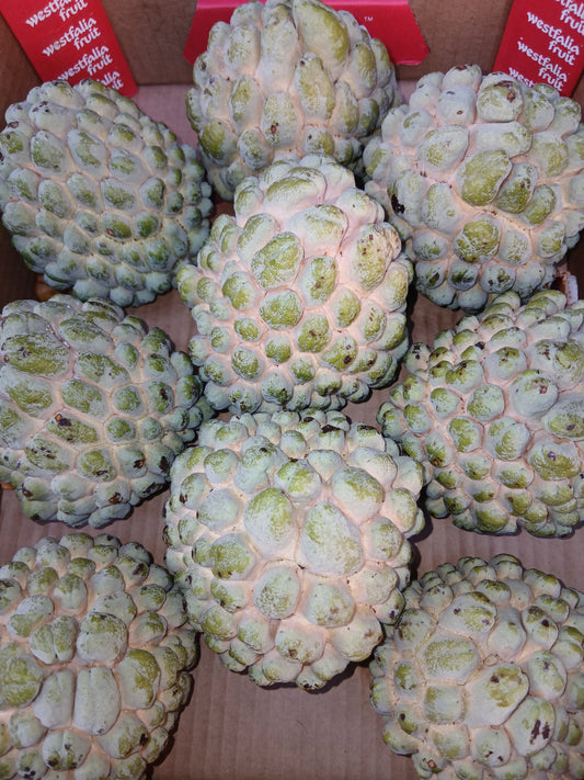 Custard Apple قشطة