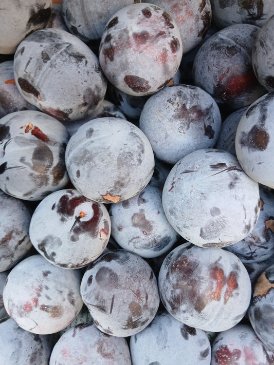 Red plums خوخ جوهرة