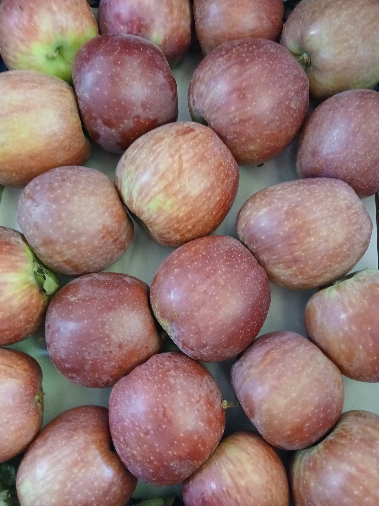 Apple red تفاح احمر