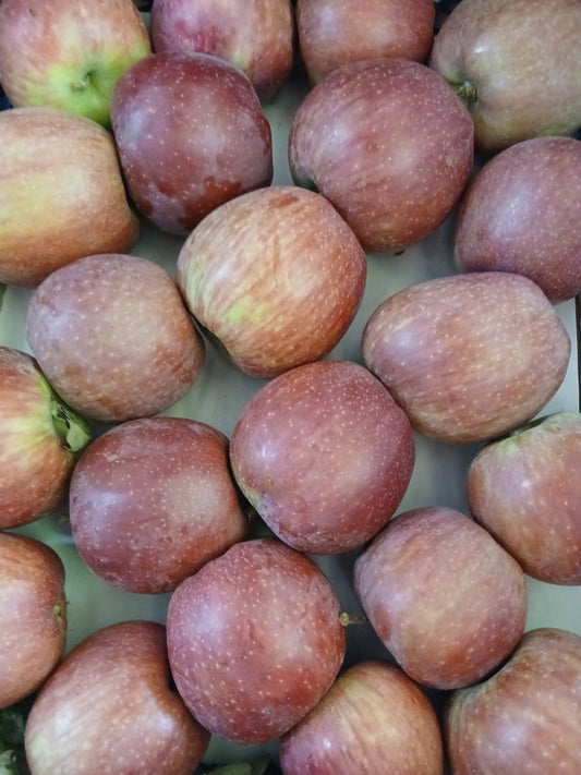 Apple red تفاح احمر