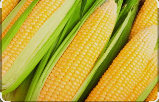Corn ذره