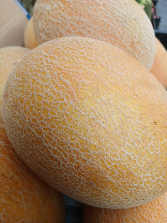 Melon شمام