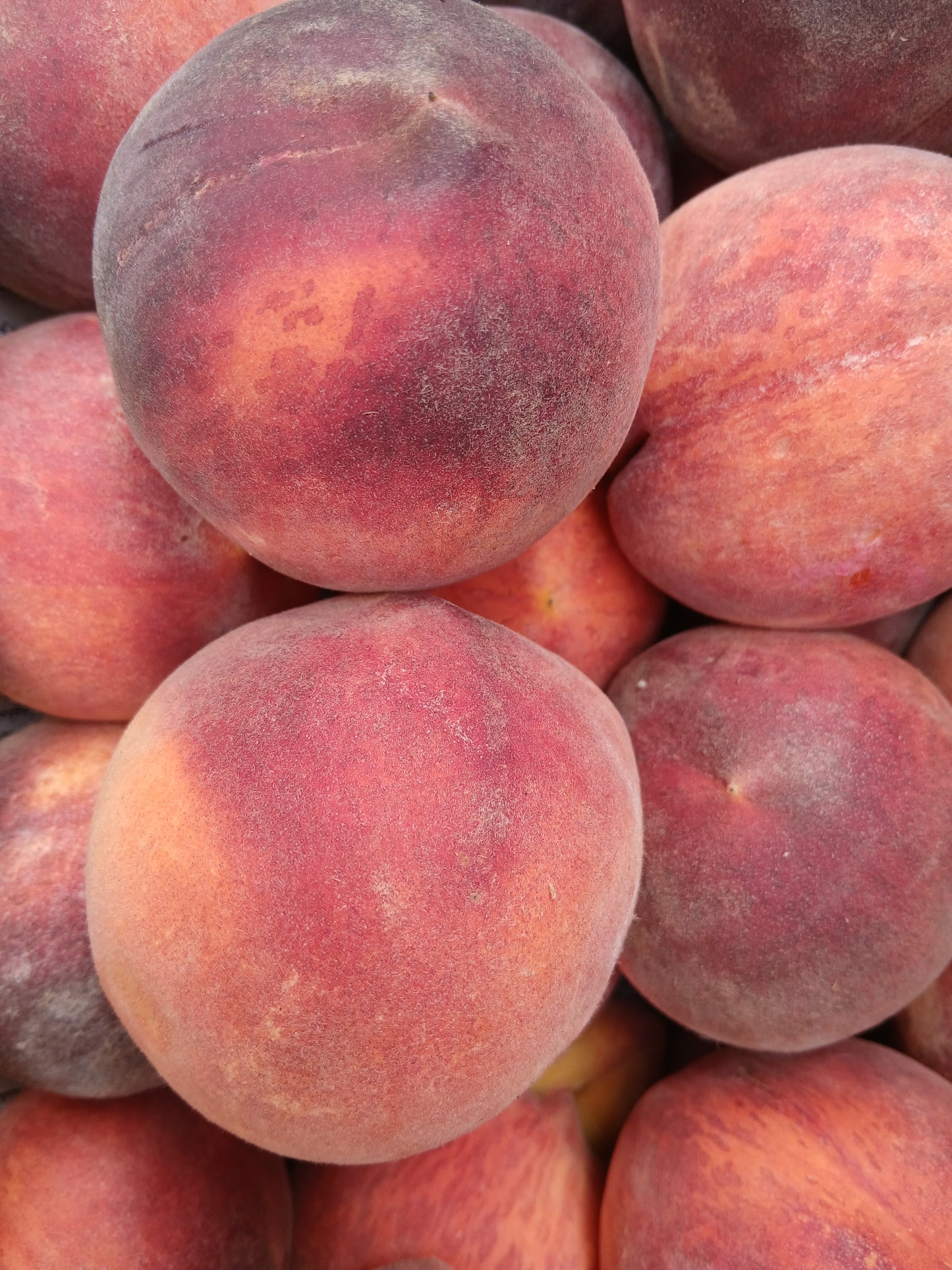 Peach دراق