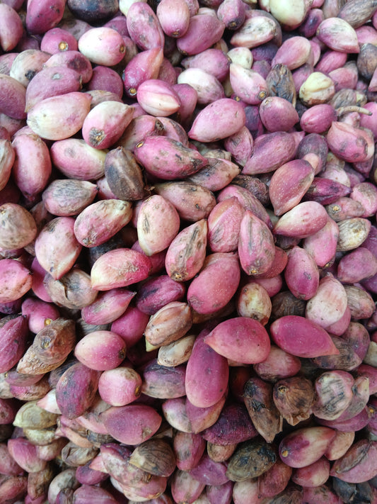 Halabi حلبي