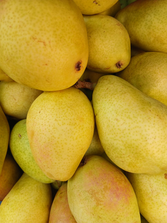 Pears اجاص
