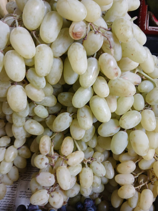 Grapes baytamouneh عنب بيتمونة