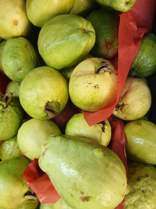 Guava غوافة
