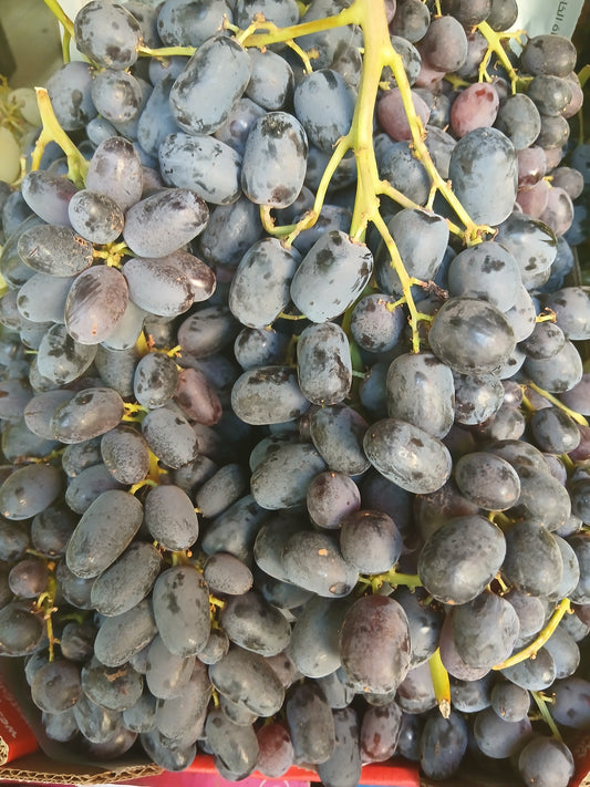 Black grapes