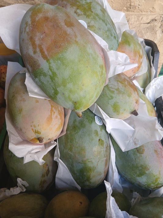 Mango منغا