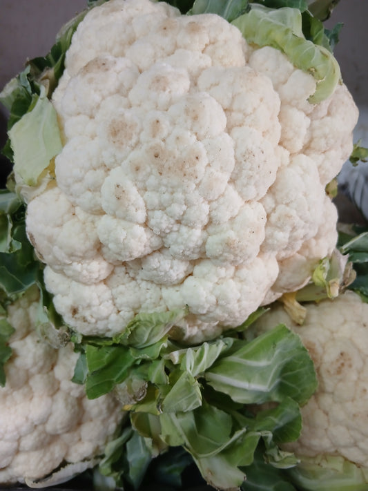 Cauliflower قرنبيط