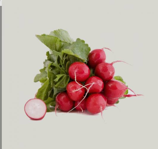 Radish فجل