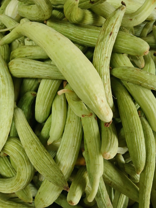 Maqti مقتي