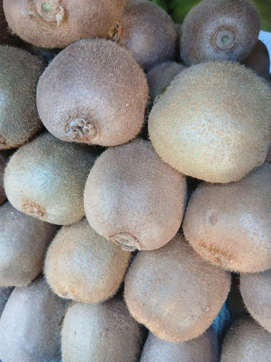 Kiwi كيوي
